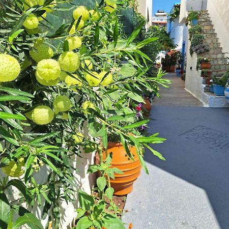 Βig Βlue Apartments Makrýgialos Zewnętrze zdjęcie