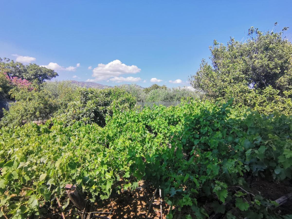 Βig Βlue Apartments Makrýgialos Zewnętrze zdjęcie