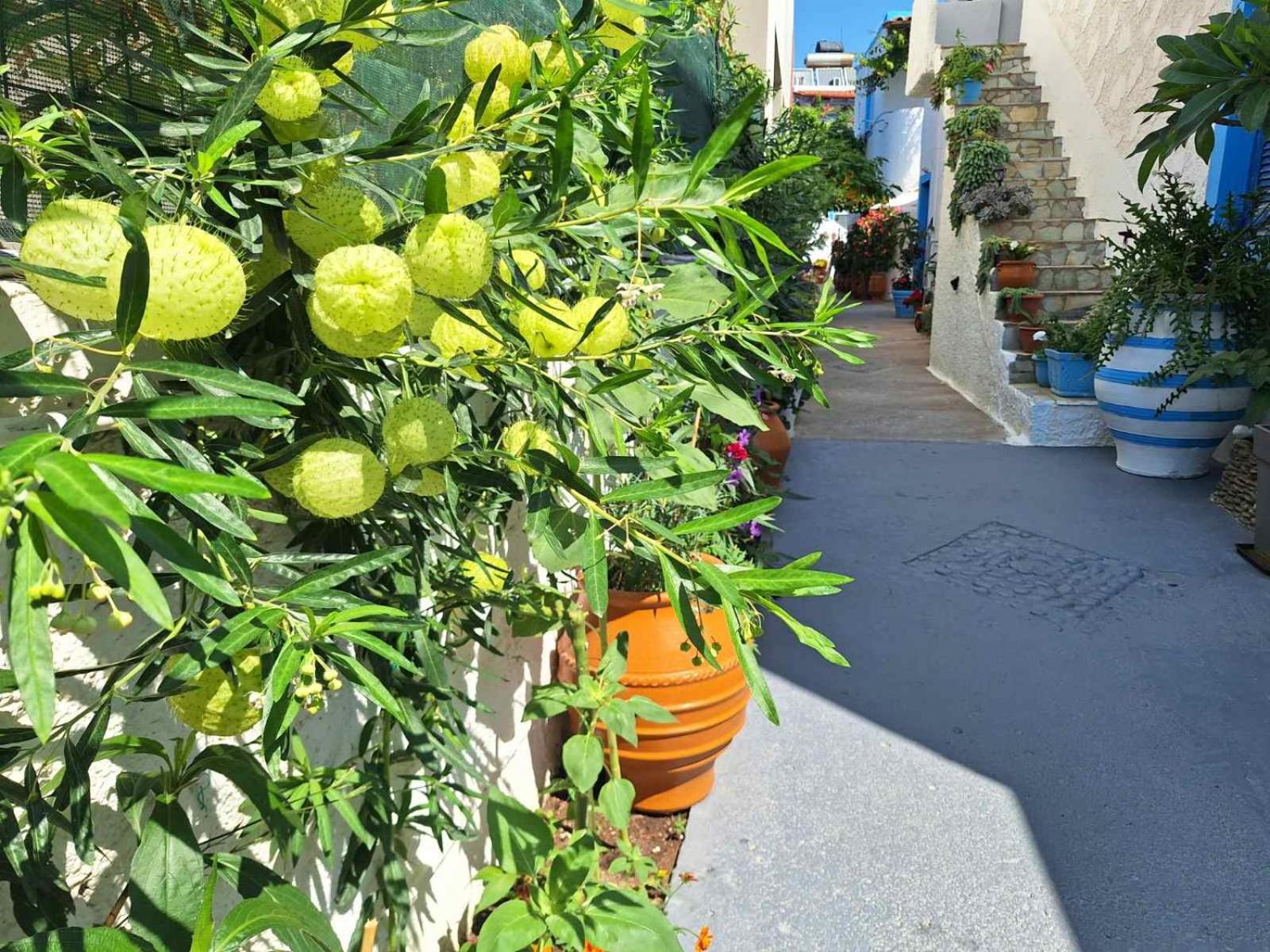 Βig Βlue Apartments Makrýgialos Zewnętrze zdjęcie
