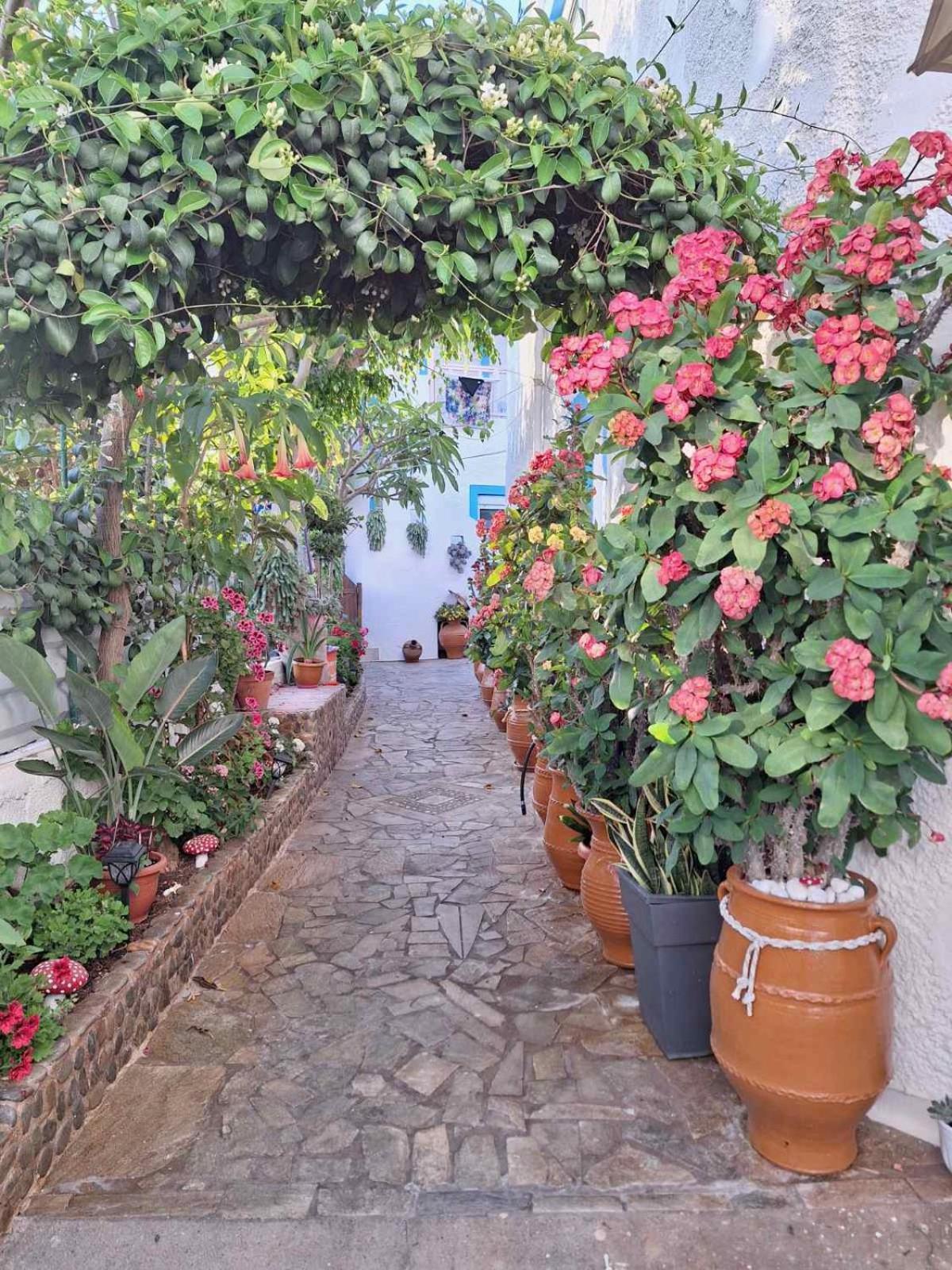 Βig Βlue Apartments Makrýgialos Zewnętrze zdjęcie