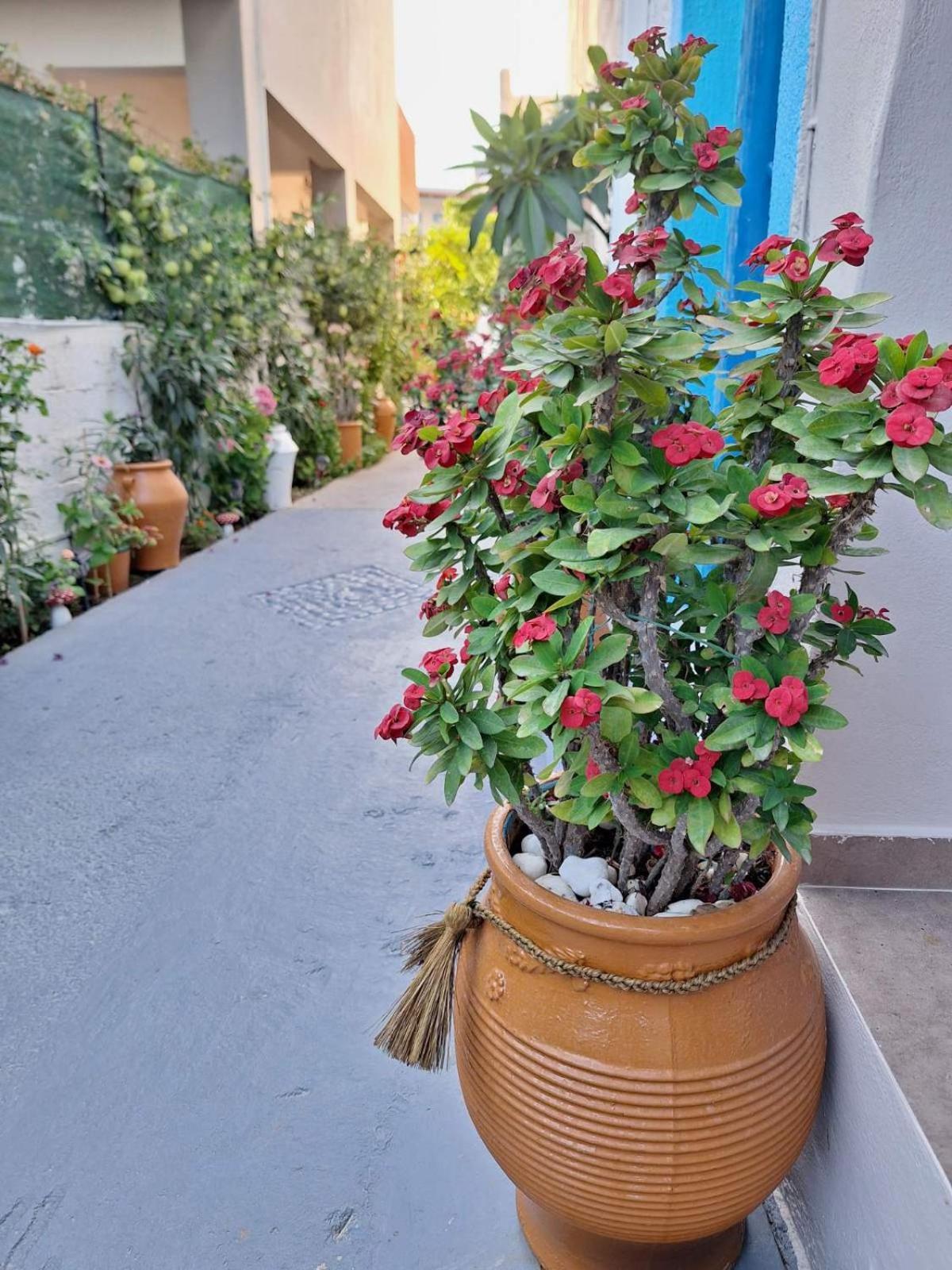 Βig Βlue Apartments Makrýgialos Zewnętrze zdjęcie