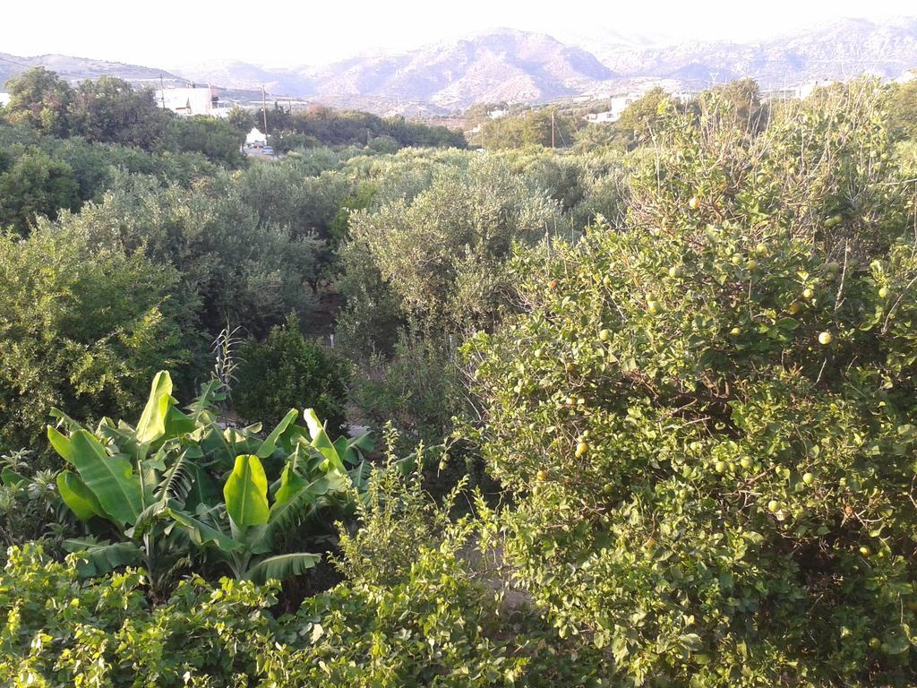 Βig Βlue Apartments Makrýgialos Pokój zdjęcie